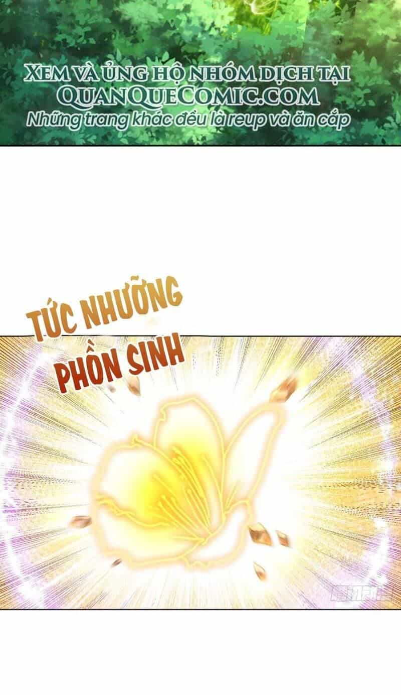 Trọng Sinh Thành Cậu Vàng Tại Dị Thế - Chương 82 - ảnh 18