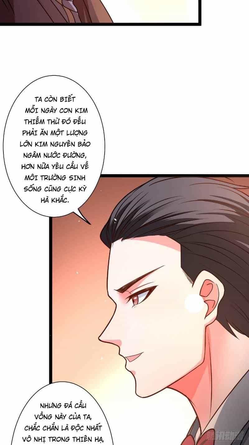 Trọng Sinh Tối Cường Ma Tôn Ở Rể - Chương 77 - ảnh 4