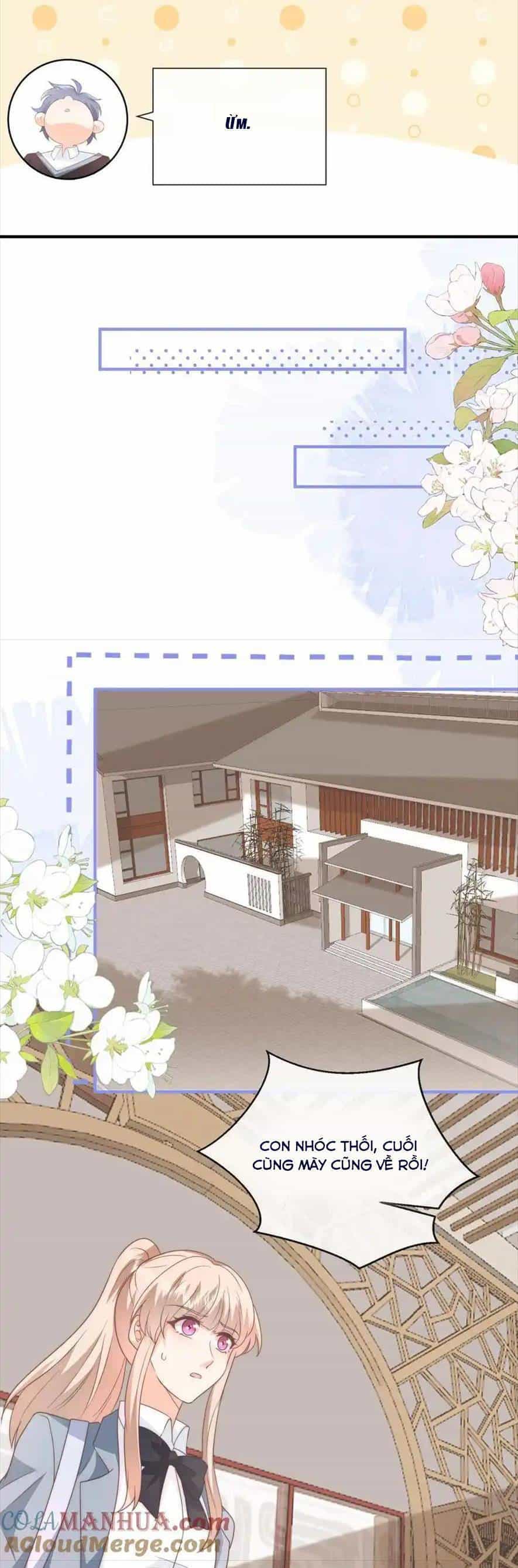 Trọng Sinh Trở Lại Làm Vợ Tổng Tài - Chương 128 - ảnh 19