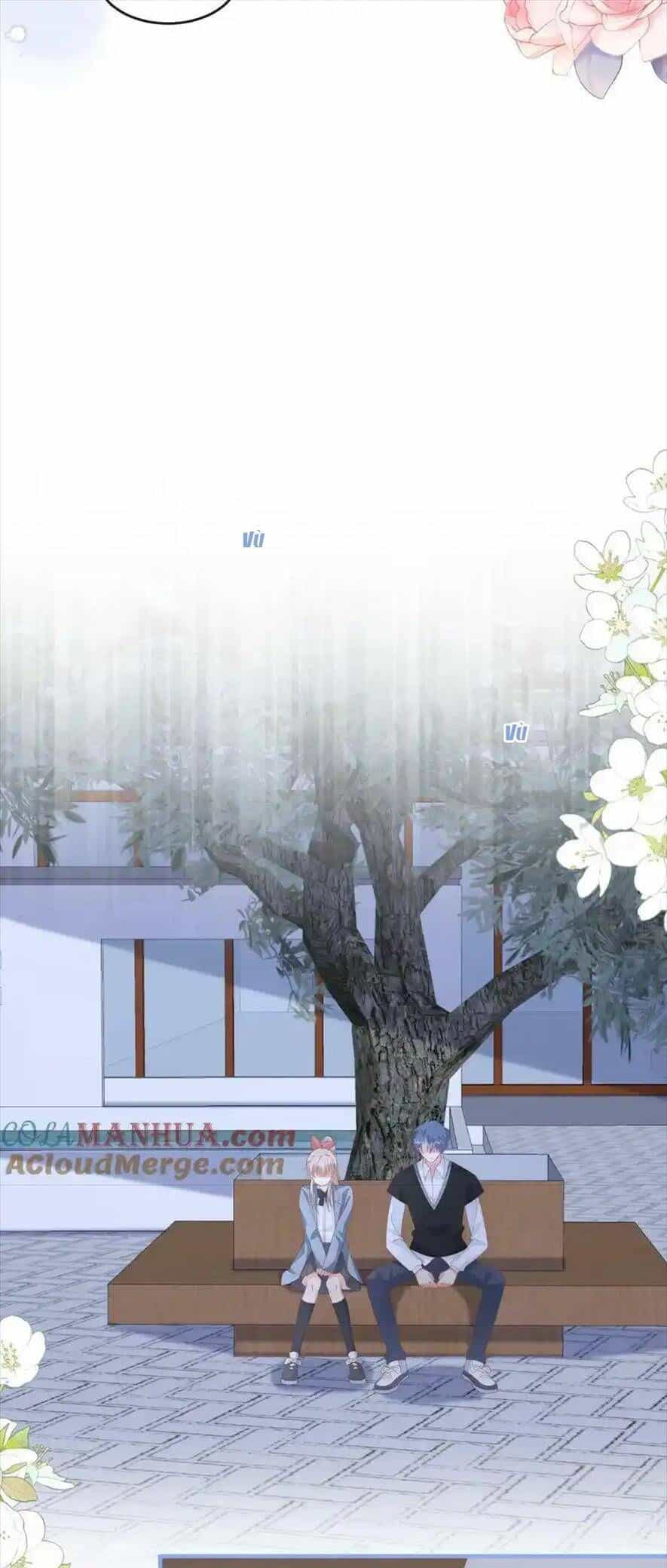 Trọng Sinh Trở Lại Làm Vợ Tổng Tài - Chương 76 - ảnh 15