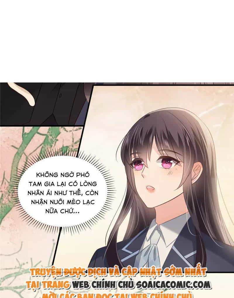 Trọng Sinh Trở Lại: Sủng Nịch Độc Nhất Vô Nhị - Chương 226 - ảnh 24