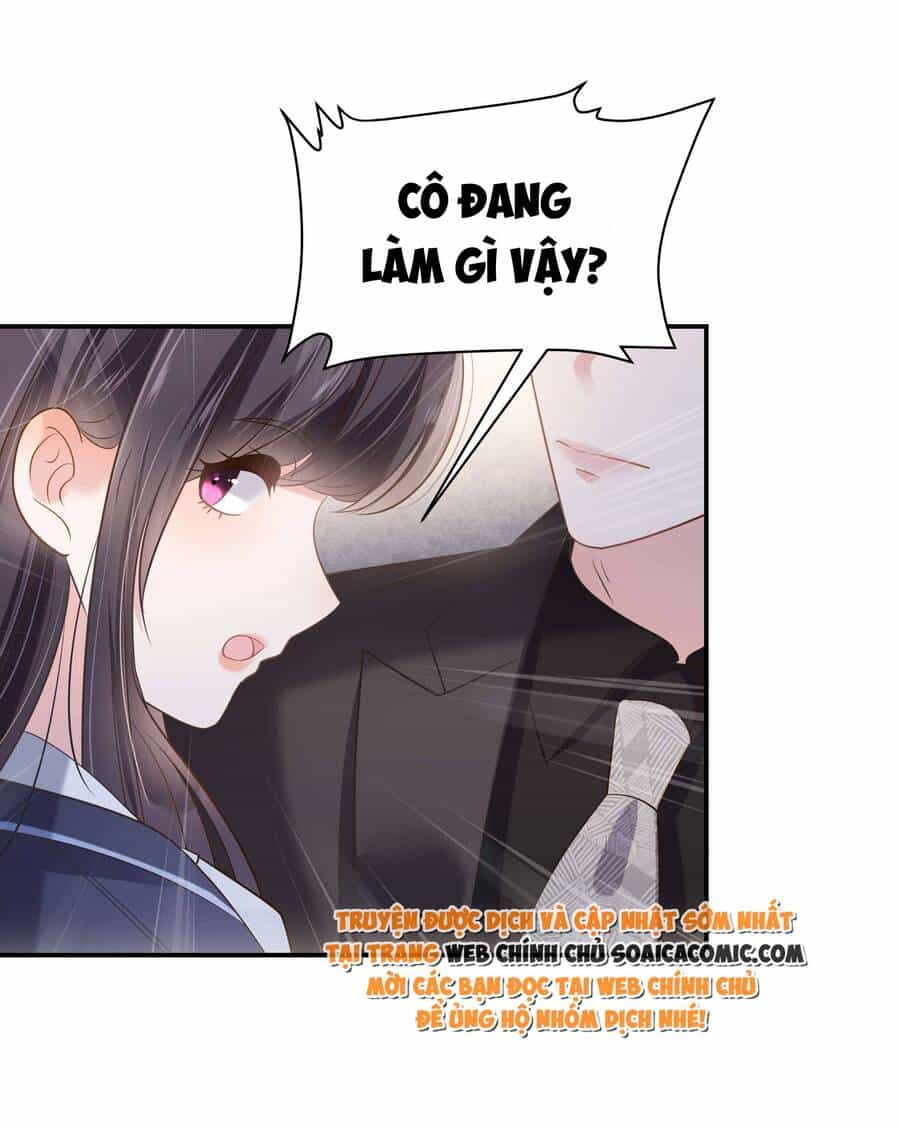 Trọng Sinh Trở Lại: Sủng Nịch Độc Nhất Vô Nhị - Chương 232 - ảnh 2