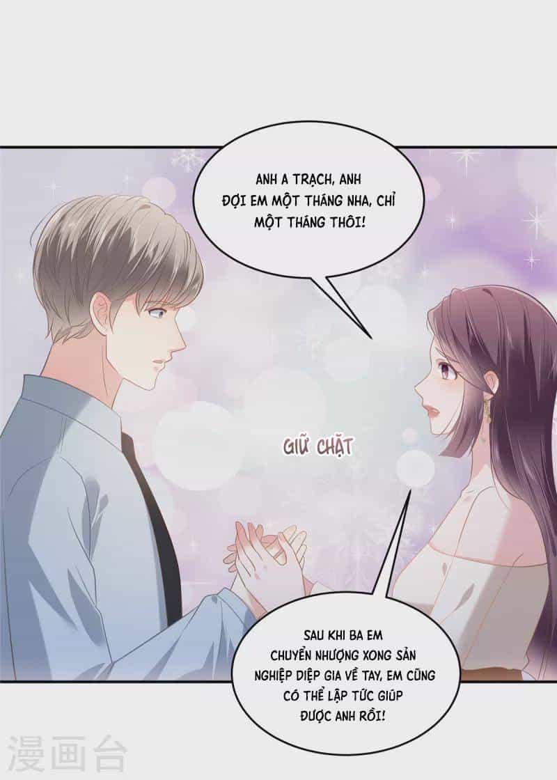 Trọng Sinh Trở Lại: Sủng Nịch Độc Nhất Vô Nhị - Chương 238 - ảnh 16