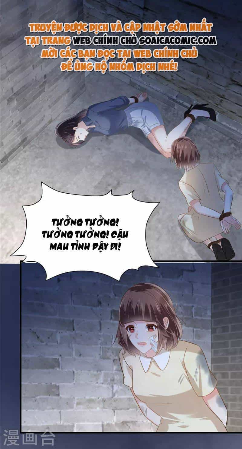 Trọng Sinh Trở Lại: Sủng Nịch Độc Nhất Vô Nhị - Chương 271 - ảnh 17
