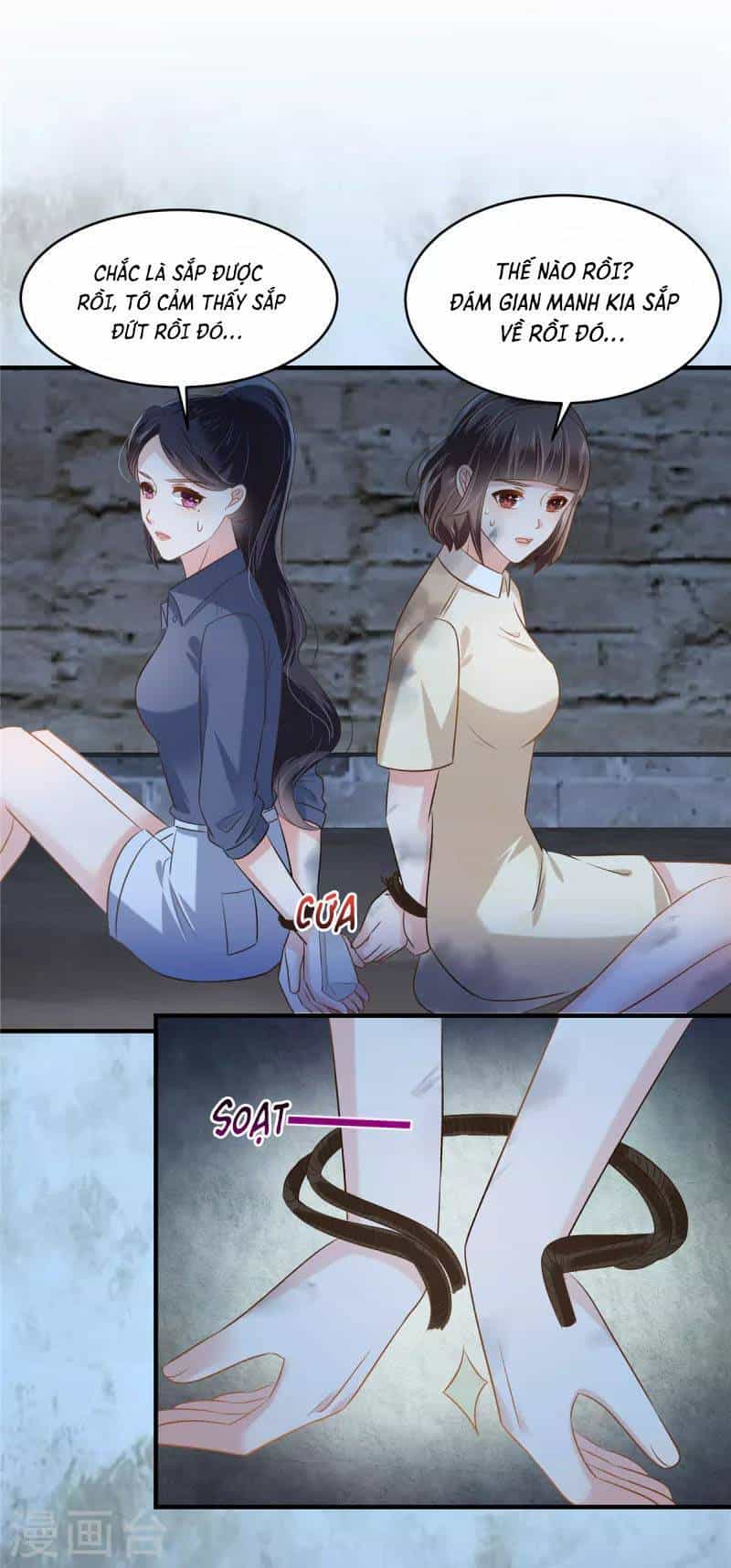 Trọng Sinh Trở Lại: Sủng Nịch Độc Nhất Vô Nhị - Chương 271 - ảnh 23