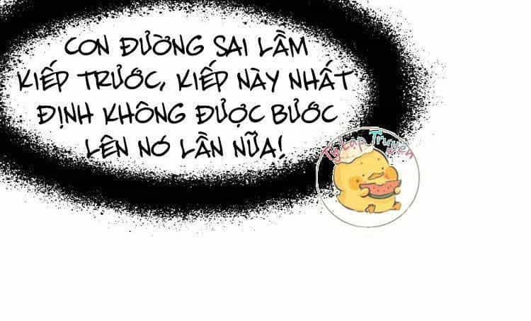 Trùng Sinh Chuyên Sủng Độc Phi Của Nhiếp Chính Vương - Chương 2 - ảnh 12