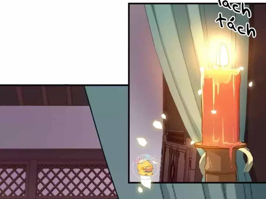 Trùng Sinh Chuyên Sủng Độc Phi Của Nhiếp Chính Vương - Chương 41 - ảnh 41