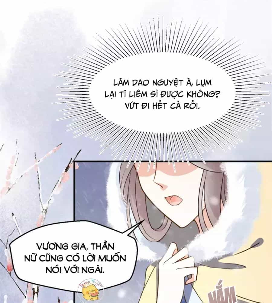 Trùng Sinh Chuyên Sủng Độc Phi Của Nhiếp Chính Vương - Chương 47 - ảnh 6