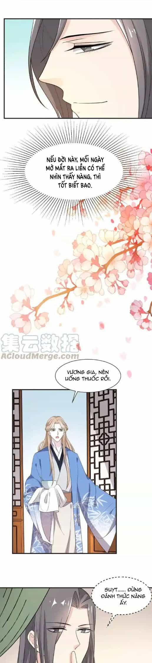 Trùng Sinh Chuyên Sủng Độc Phi Của Nhiếp Chính Vương - Chương 64 - ảnh 8