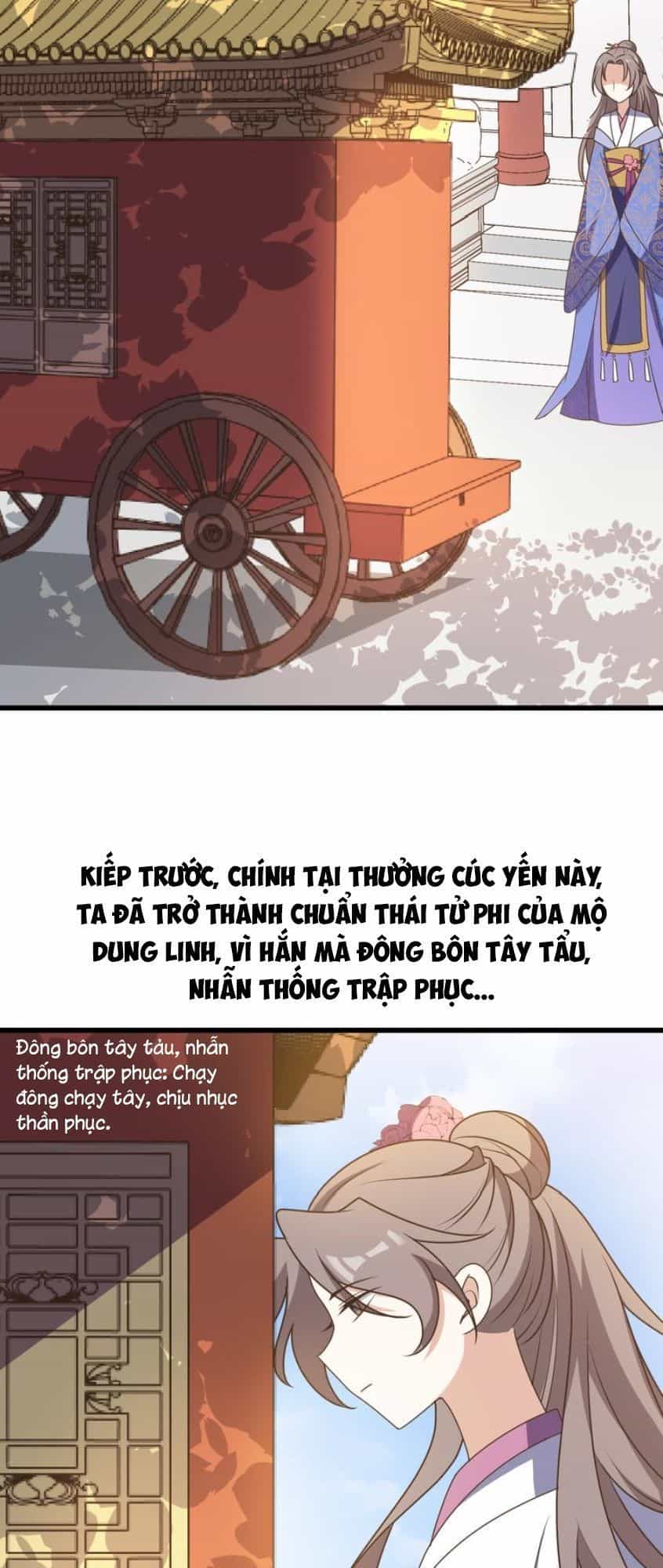 Trùng Sinh Chuyên Sủng Độc Phi Của Nhiếp Chính Vương - Chương 8 - ảnh 22