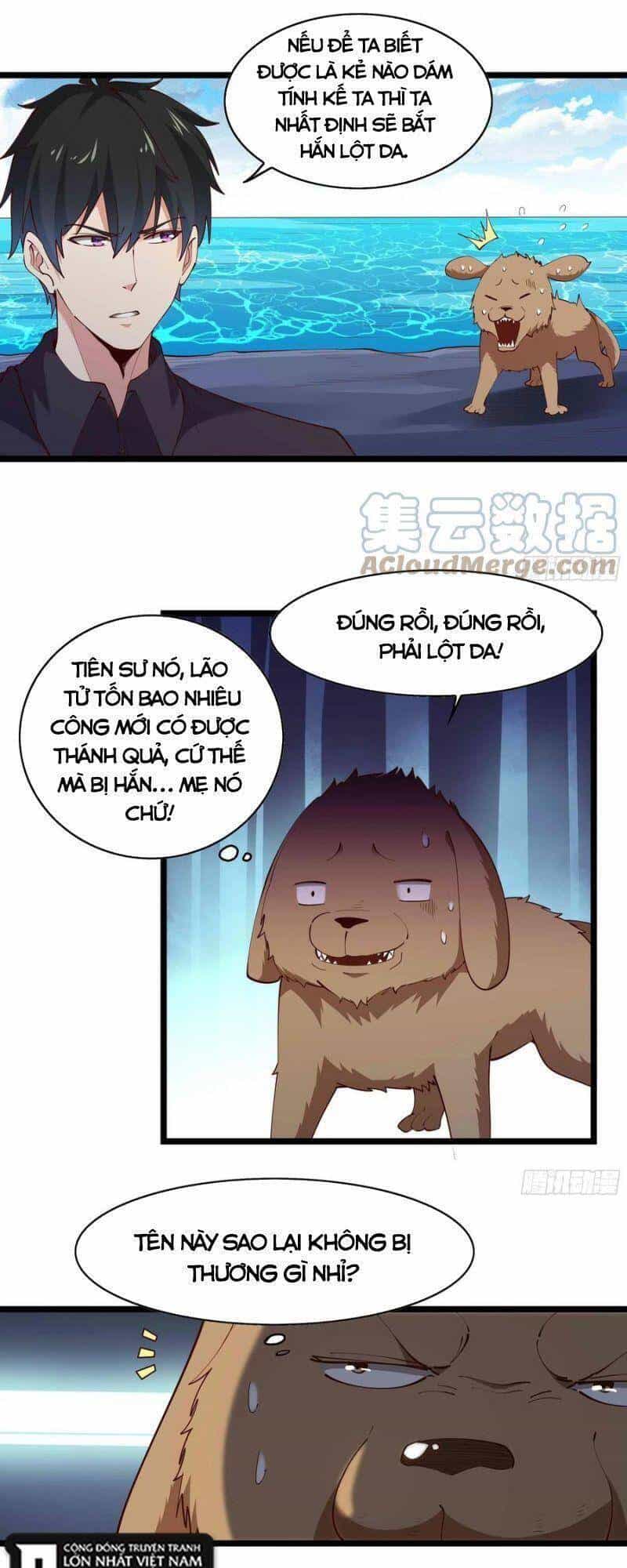 Trùng Sinh Đô Thị Thiên Tôn - Chương 293 - ảnh 1