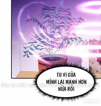 Trùng Sinh Đô Thị Thiên Tôn - Chương 76 - ảnh 20
