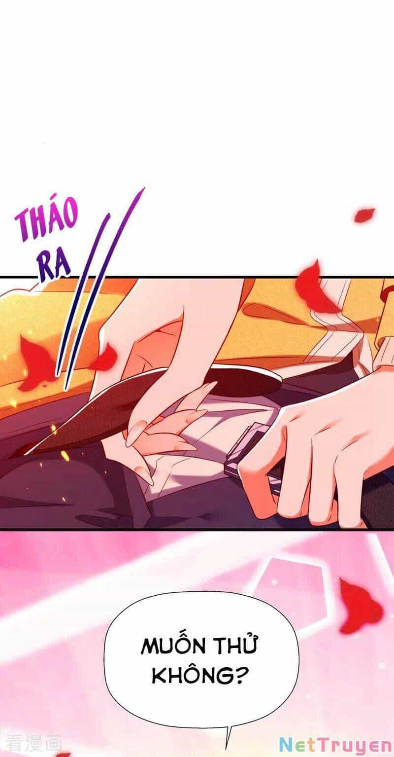 Trùng Sinh Không Gian: Cô Vợ Hào Môn Nóng Bỏng Không Dễ Chọc - Chương 153 - ảnh 45