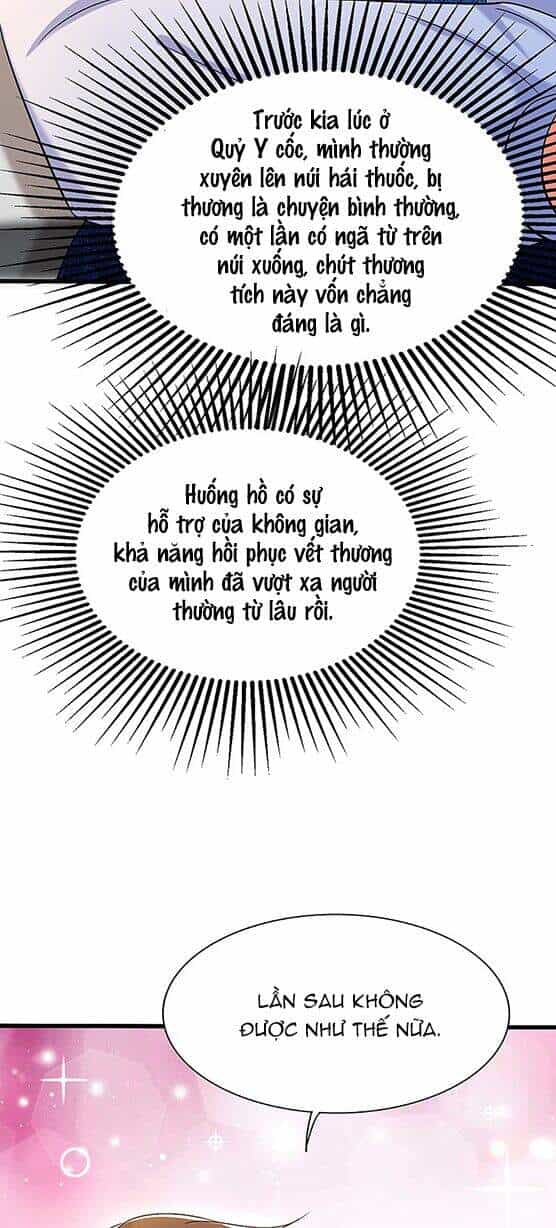 Trùng Sinh Không Gian: Cô Vợ Hào Môn Nóng Bỏng Không Dễ Chọc - Chương 208 - ảnh 9