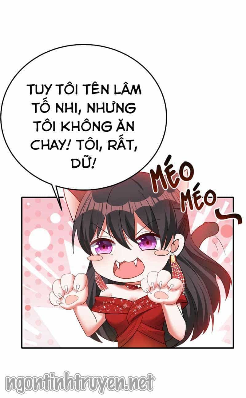 Trùng Sinh Không Gian: Cô Vợ Hào Môn Nóng Bỏng Không Dễ Chọc - Chương 29 - ảnh 19