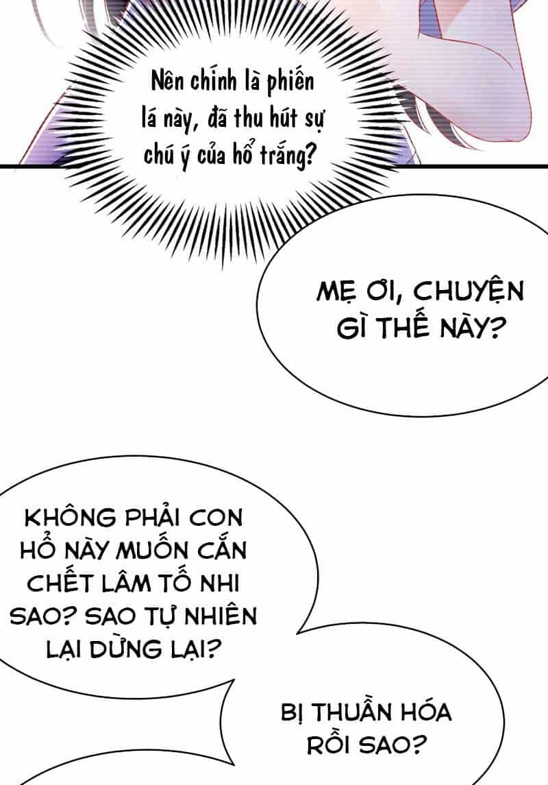 Trùng Sinh Không Gian: Cô Vợ Hào Môn Nóng Bỏng Không Dễ Chọc - Chương 57 - ảnh 17