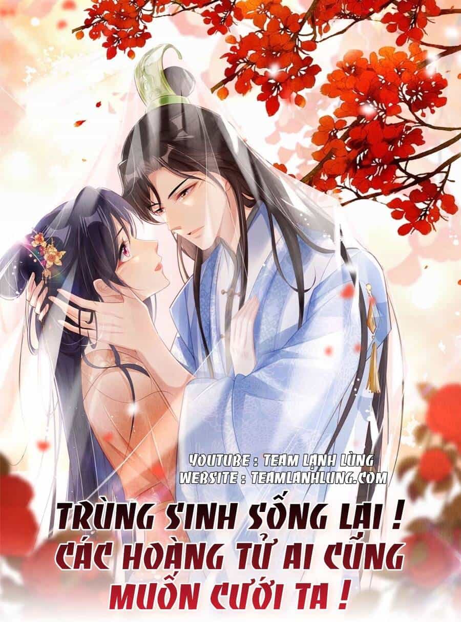 Trùng Sinh Sống Lại ! Các Hoàng Tử Ai Cũng Muốn Cưới Ta ! - Chương 24 - ảnh 1