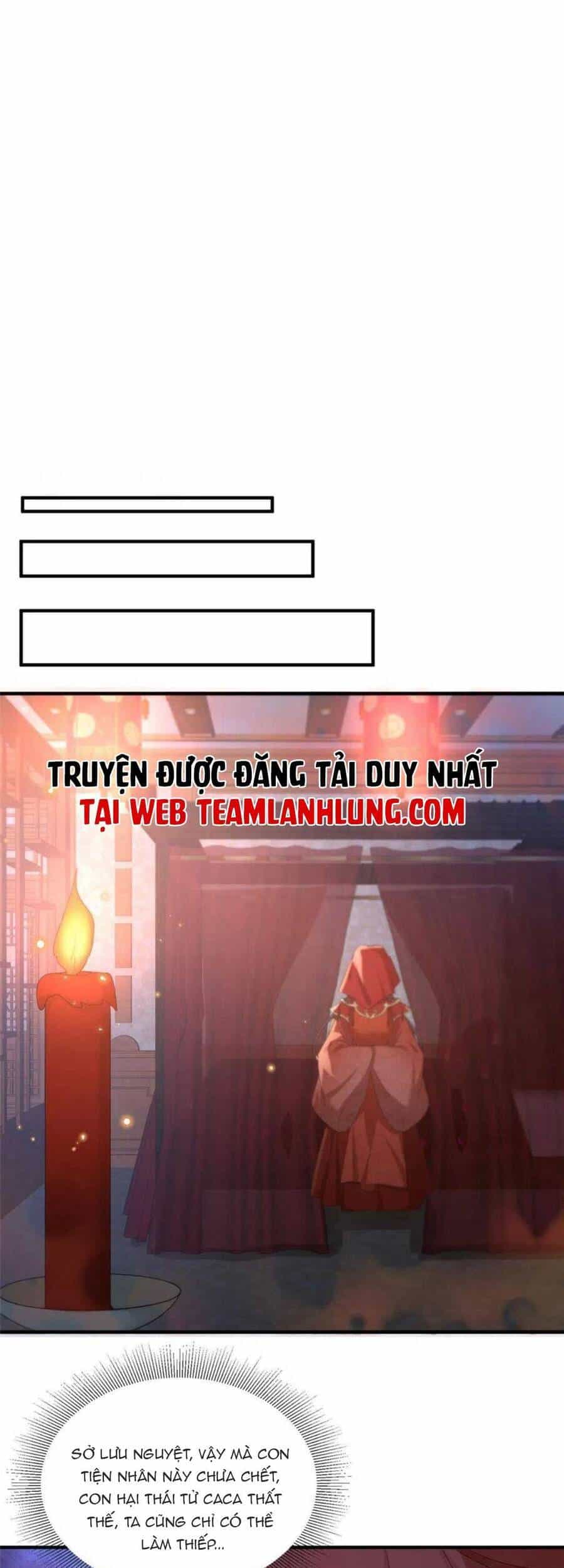 Trùng Sinh Sống Lại ! Các Hoàng Tử Ai Cũng Muốn Cưới Ta ! - Chương 50 - ảnh 10