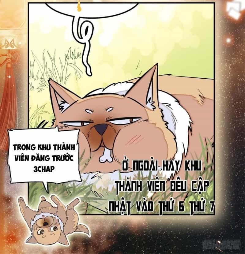 Tự Cẩm - Chương 45 - ảnh 47