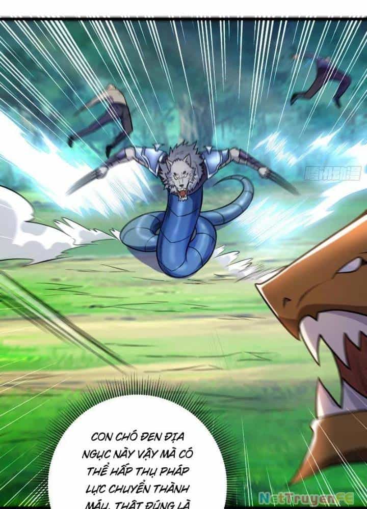 Từ Dã Quái Bắt Đầu Thăng Cấp - Chương 21 - ảnh 32