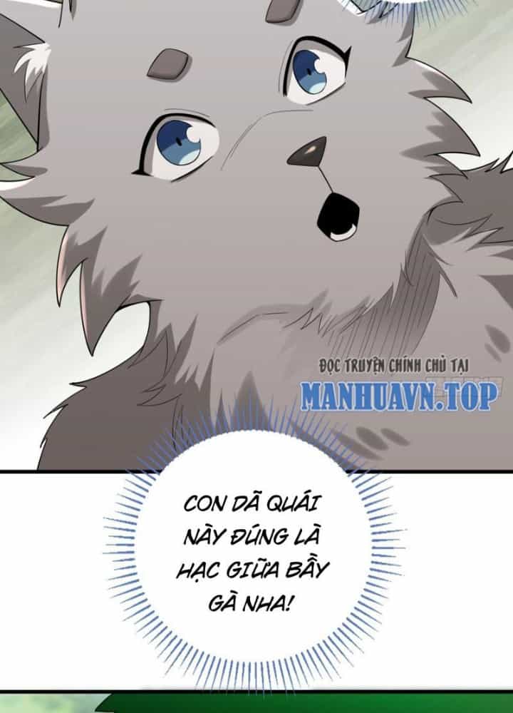 Từ Dã Quái Bắt Đầu Thăng Cấp - Chương 4 - ảnh 9