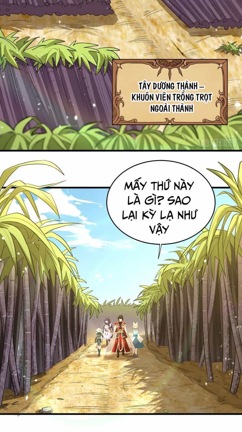 Từ Hôm Nay Bắt Đầu Làm Thành Chủ - Chương 212 - ảnh 3
