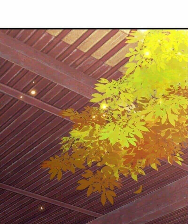 Tư Sủng Âm Dương Phi - Chương 4 - ảnh 30