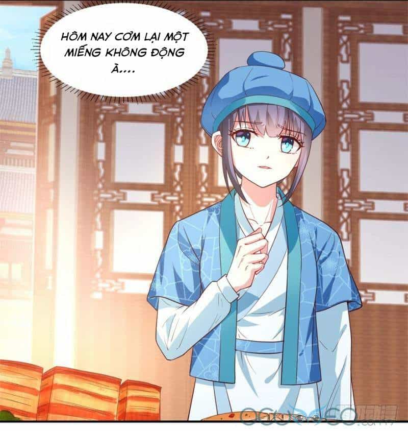 Tư Sủng Âm Dương Phi - Chương 8 - ảnh 14
