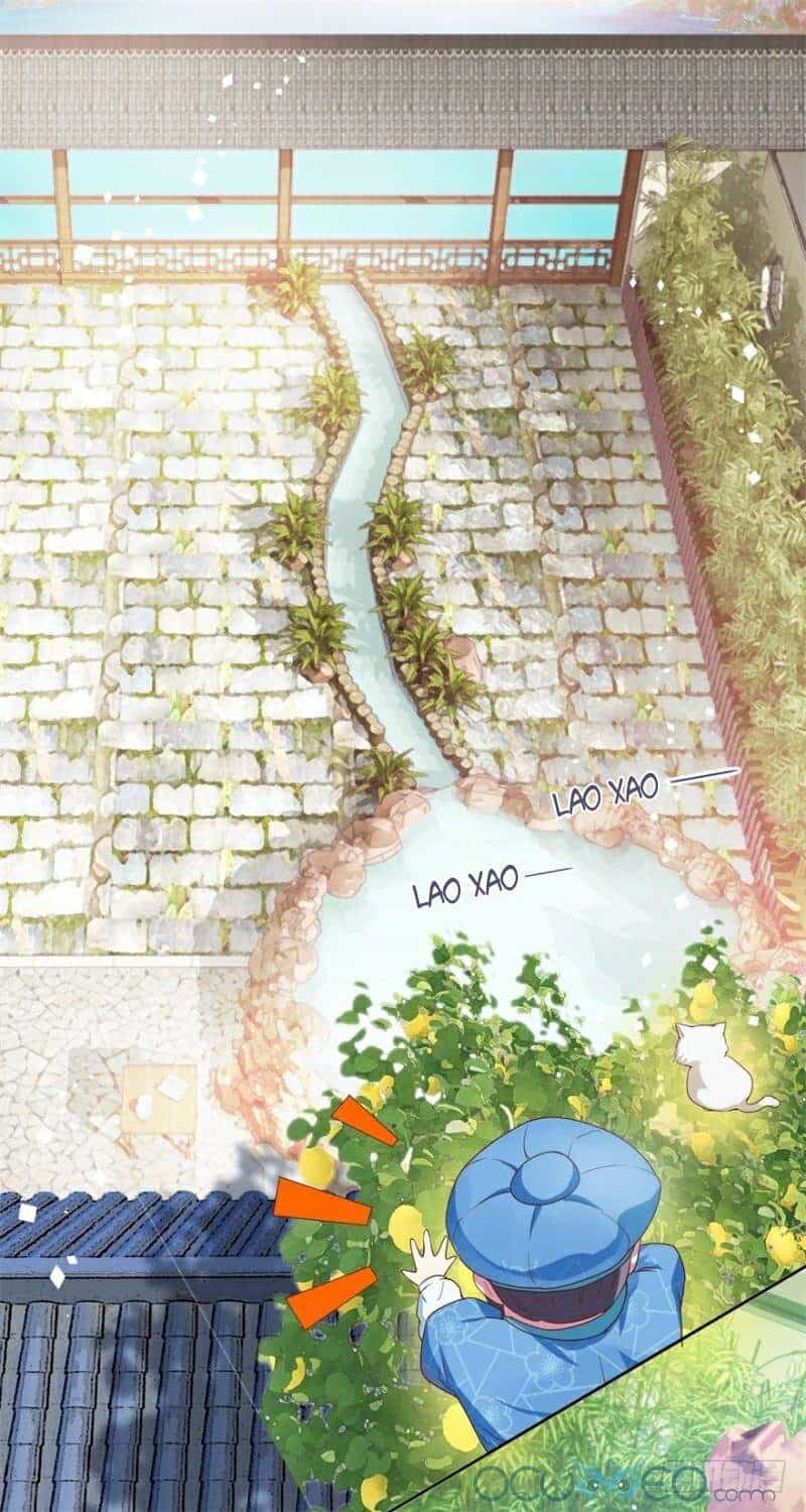 Tư Sủng Âm Dương Phi - Chương 9 - ảnh 23