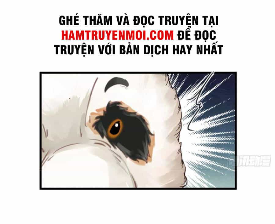 Tu Tiên Phải Dựa Vào Sugar Mommy - Chương 63 - ảnh 5