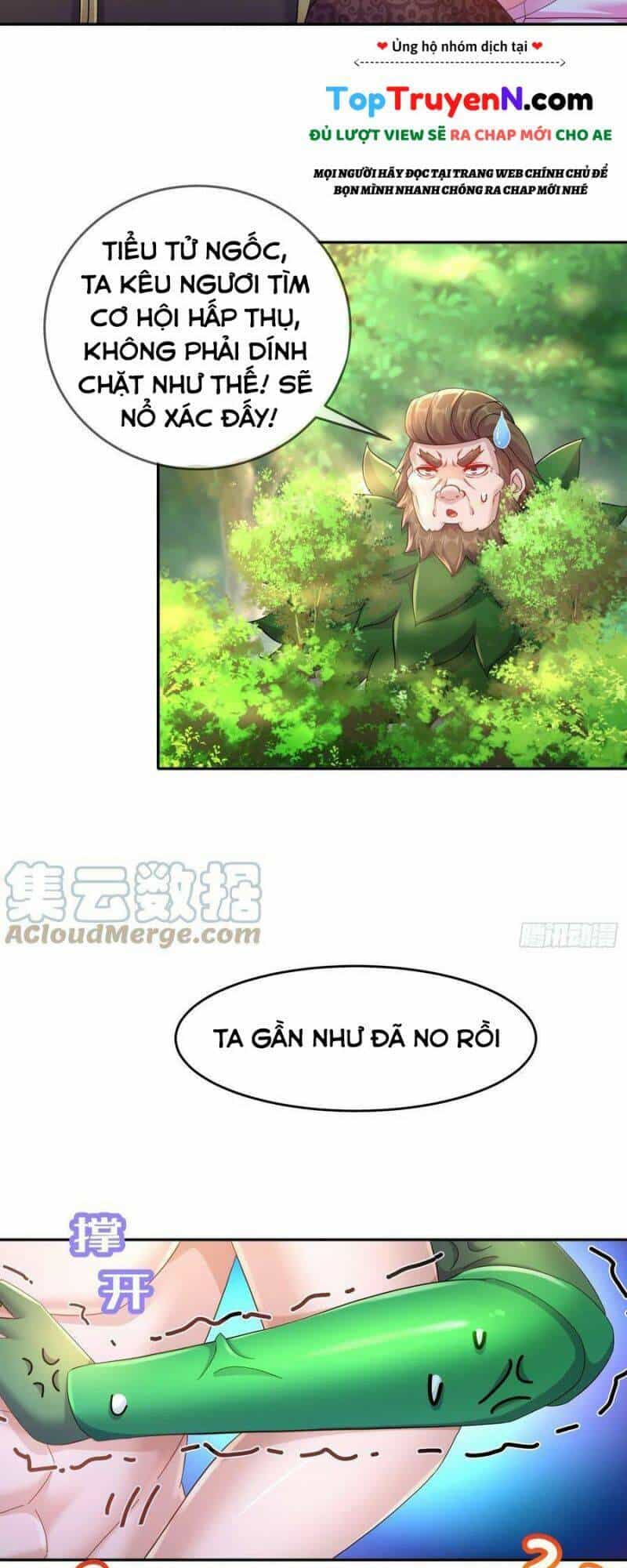 Tuyệt Sắc Đạo Lữ Đều Nói Ngô Hoàng Thể Chất Vô Địch - Chương 39 - ảnh 15