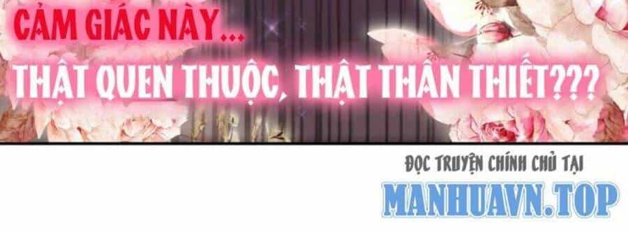 Tuyệt Sắc Đạo Lữ Đều Nói Ngô Hoàng Thể Chất Vô Địch - Chương 83 - ảnh 42