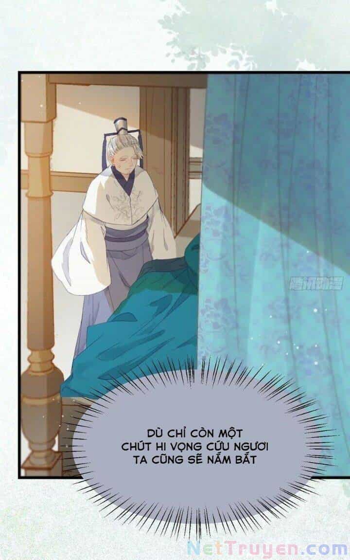 Tuyệt Sắc Quyến Rũ: Quỷ Y Chí Tôn - Chương 267 - ảnh 41