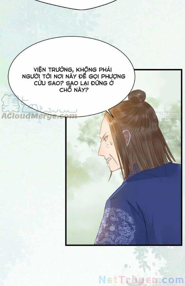 Tuyệt Sắc Quyến Rũ: Quỷ Y Chí Tôn - Chương 269 - ảnh 29