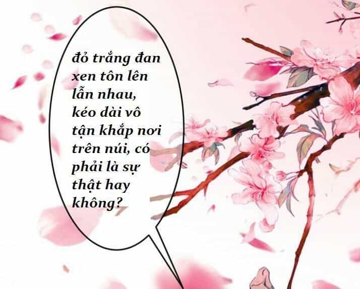 Tuyệt Sắc Quyến Rũ: Quỷ Y Chí Tôn - Chương 33 - ảnh 14