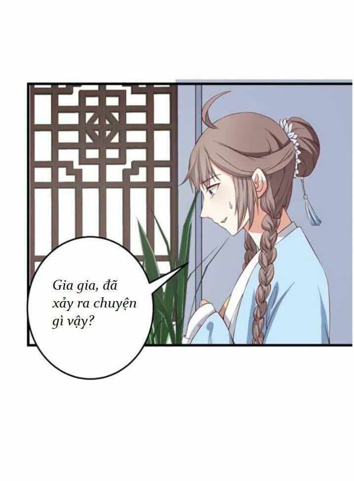 Tuyệt Sắc Quyến Rũ: Quỷ Y Chí Tôn - Chương 62 - ảnh 27
