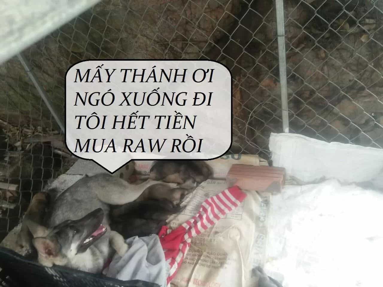 Tuyệt Sắc Quyến Rũ: Quỷ Y Chí Tôn - Chương 82 - ảnh 49