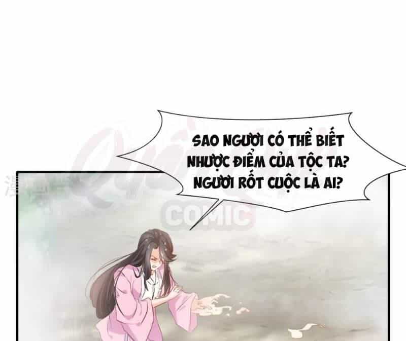 Tuyệt Thế Cổ Tôn - Chương 51 - ảnh 8
