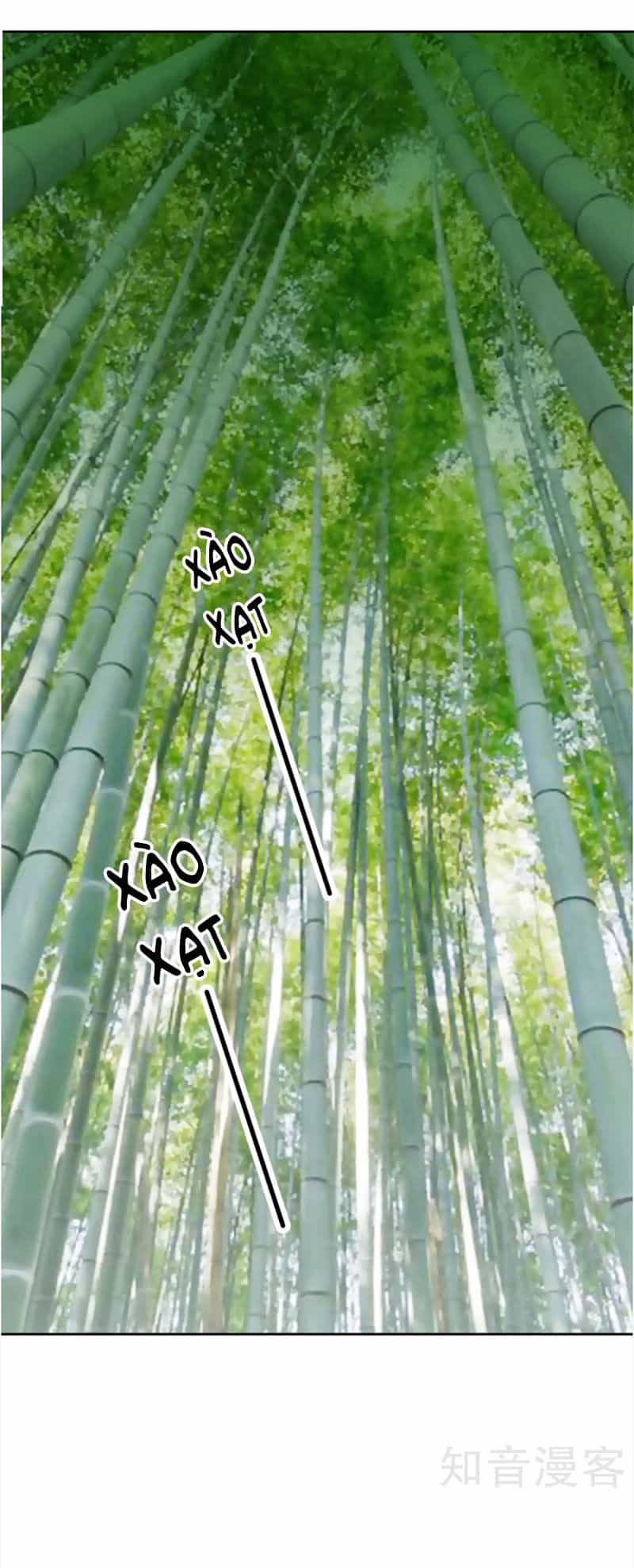 Tuyệt Thế Độc Phi Của Tà Vương - Chương 114 - ảnh 13
