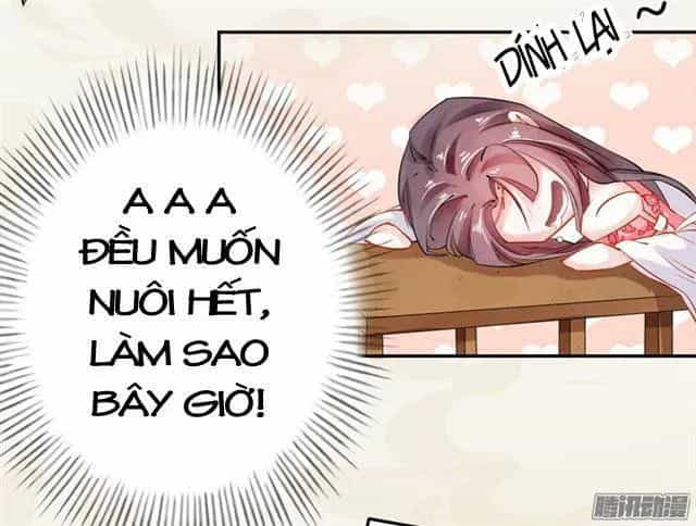 Tuyệt Thế Luyện Đan Sư - Chương 10 - ảnh 20
