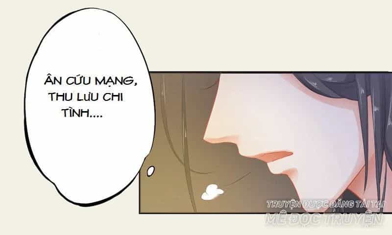 Tuyệt Thế Luyện Đan Sư - Chương 12 - ảnh 36