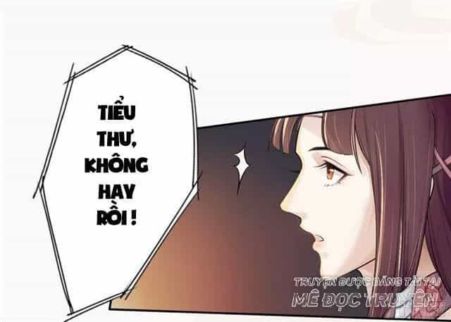Tuyệt Thế Luyện Đan Sư - Chương 21 - ảnh 36