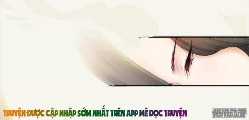 Tuyệt Thế Luyện Đan Sư - Chương 3 - ảnh 16