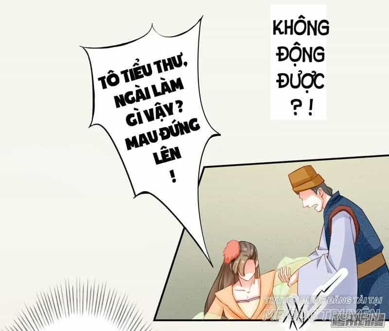 Tuyệt Thế Luyện Đan Sư - Chương 7 - ảnh 41
