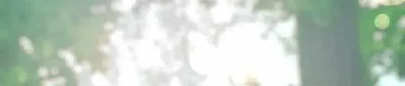 Tuyệt Thế Sát Thủ Hồi Quy Tại Học Viện - Chương 6 - ảnh 196
