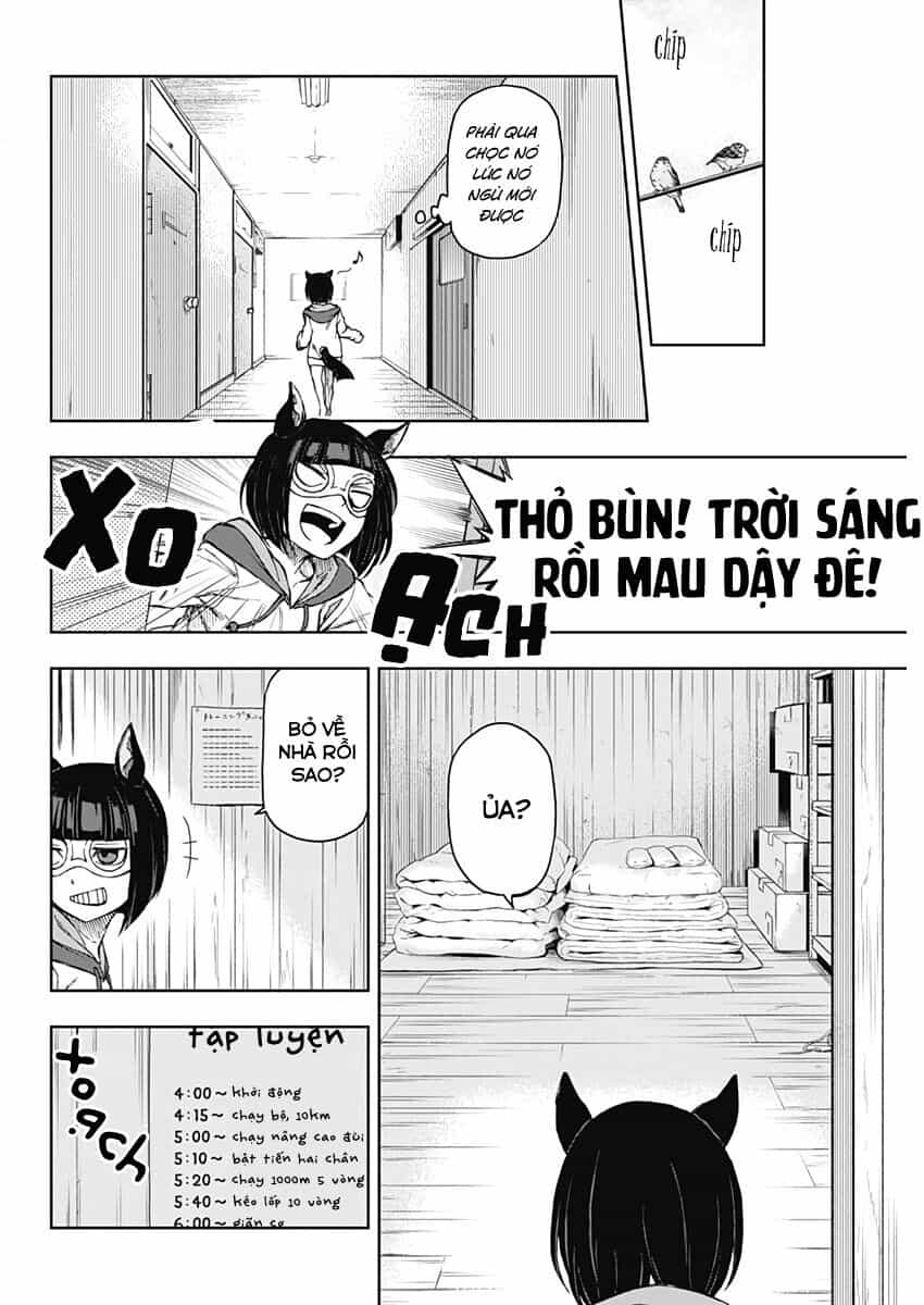 Uma Musume: Cinderella Gray - Chương 1 - ảnh 32