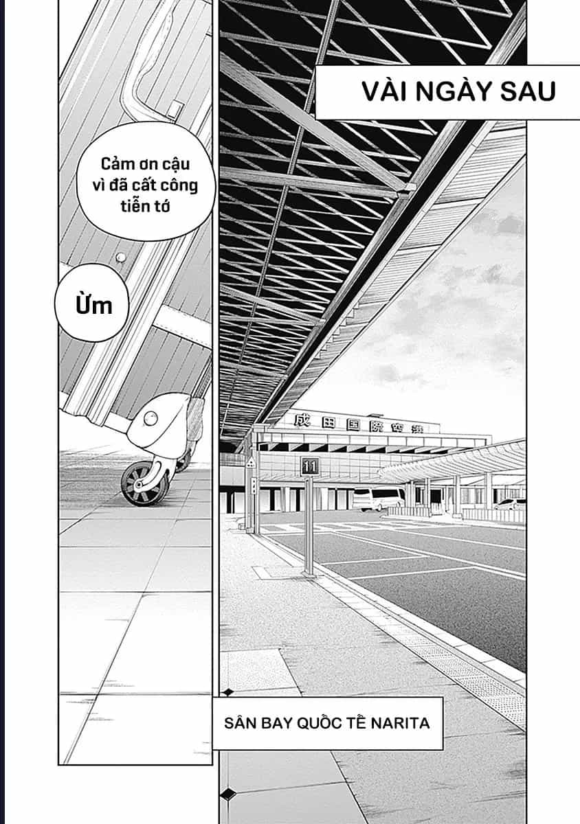 Uma Musume: Cinderella Gray - Chương 59 - ảnh 8