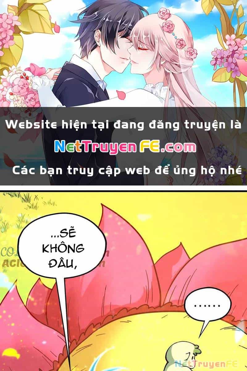 Vạn Cổ Chí Tôn - Chương 355 - ảnh 2
