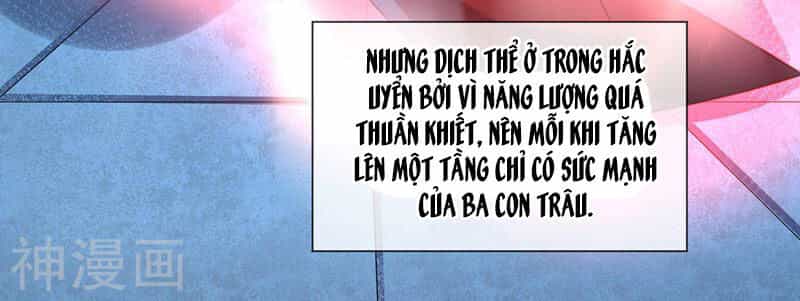 Vạn Cổ Đệ Nhất Tế - Chương 13 - ảnh 12