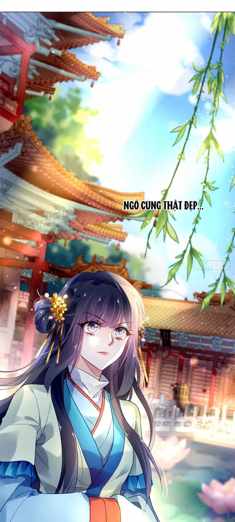 Vấn Đan Chu - Chương 13 - ảnh 8